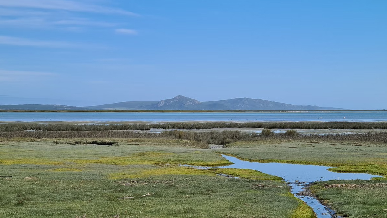Langebaan_0001_2